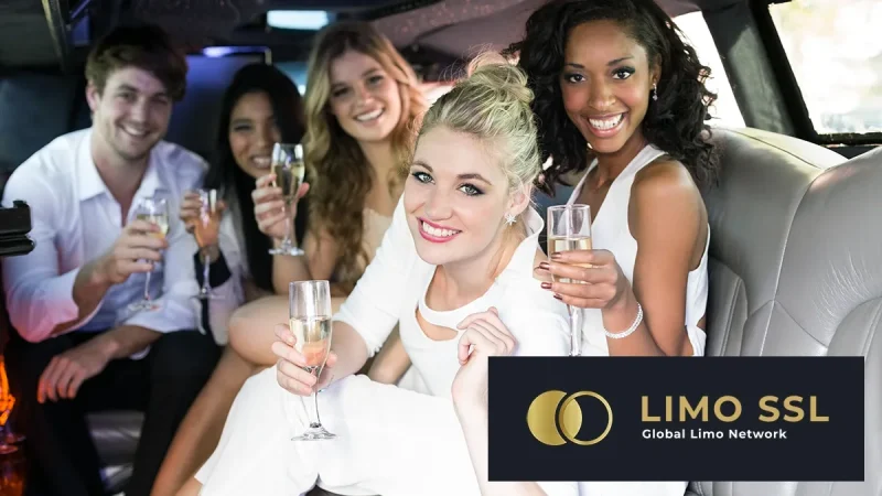 Surprise Limo Party in LA